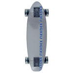 Flexdex Clear 29 Complete Longboard Skateboard